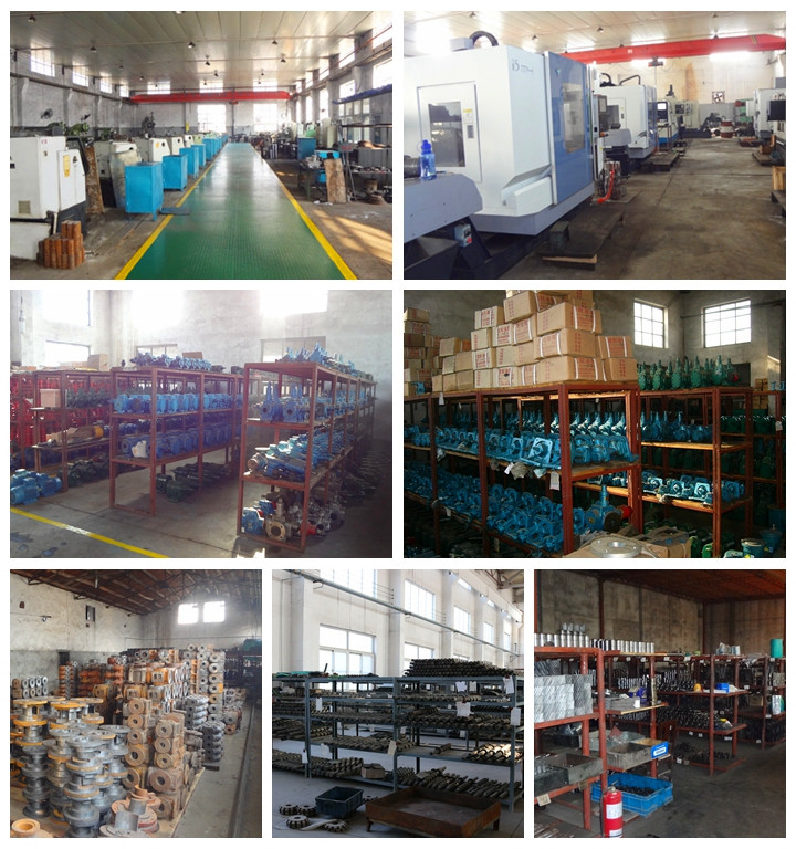 天津遠(yuǎn)東泵業(yè)廠(chǎng)房形象