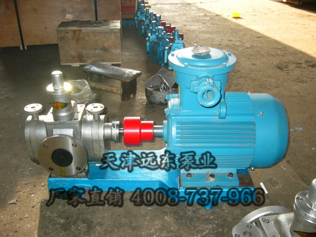 不銹鋼齒輪泵 不銹鋼齒輪泵